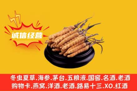 锡林郭勒二连浩特市回收冬虫夏草